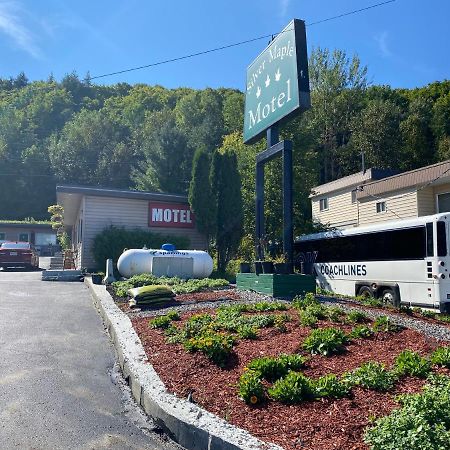 Silver Maple Motel Haliburton Esterno foto